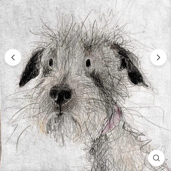 Steven - Picture 5 of 7